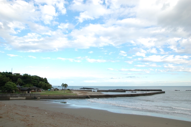 高知県から南を眺めた海